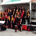 Chorus-Mundi-Tag-des-Liedes-022