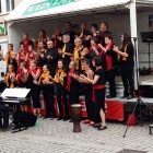 Chorus-Mundi-Tag-des-Liedes-028